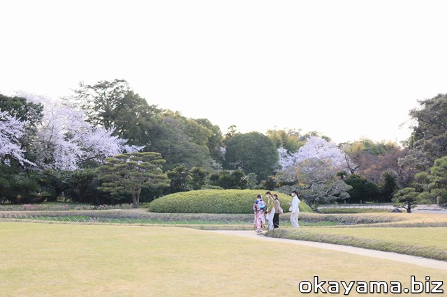 岡山後楽園の桜と着物の女性の写真