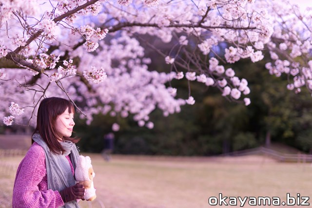 岡山後楽園の桜林と目をつぶるイクリンとリラックマの写真