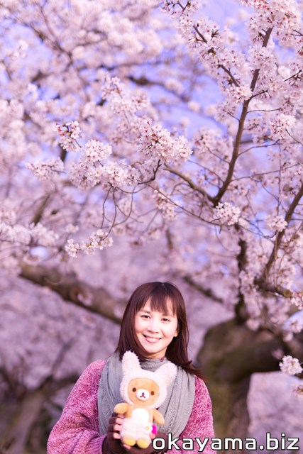 岡山後楽園の桜林でサクラを背景に写真を撮るイクリンとリラックマの写真